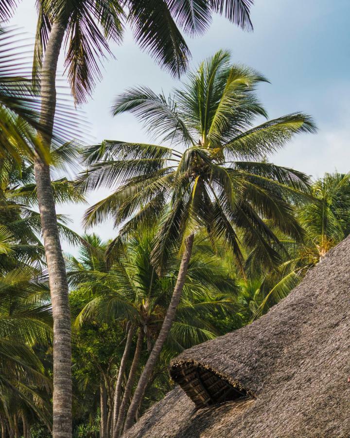 Diani Sea Lodge Диани-Бич Экстерьер фото